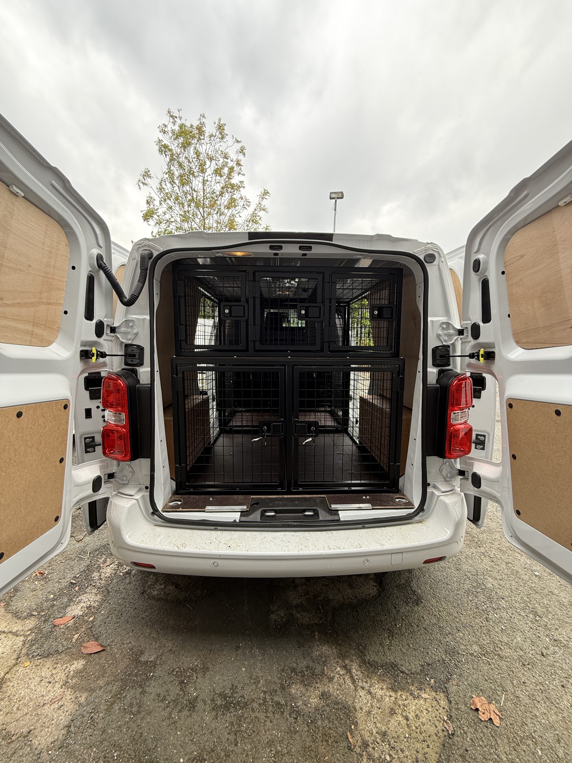 Bespoke van dog cage rear installation